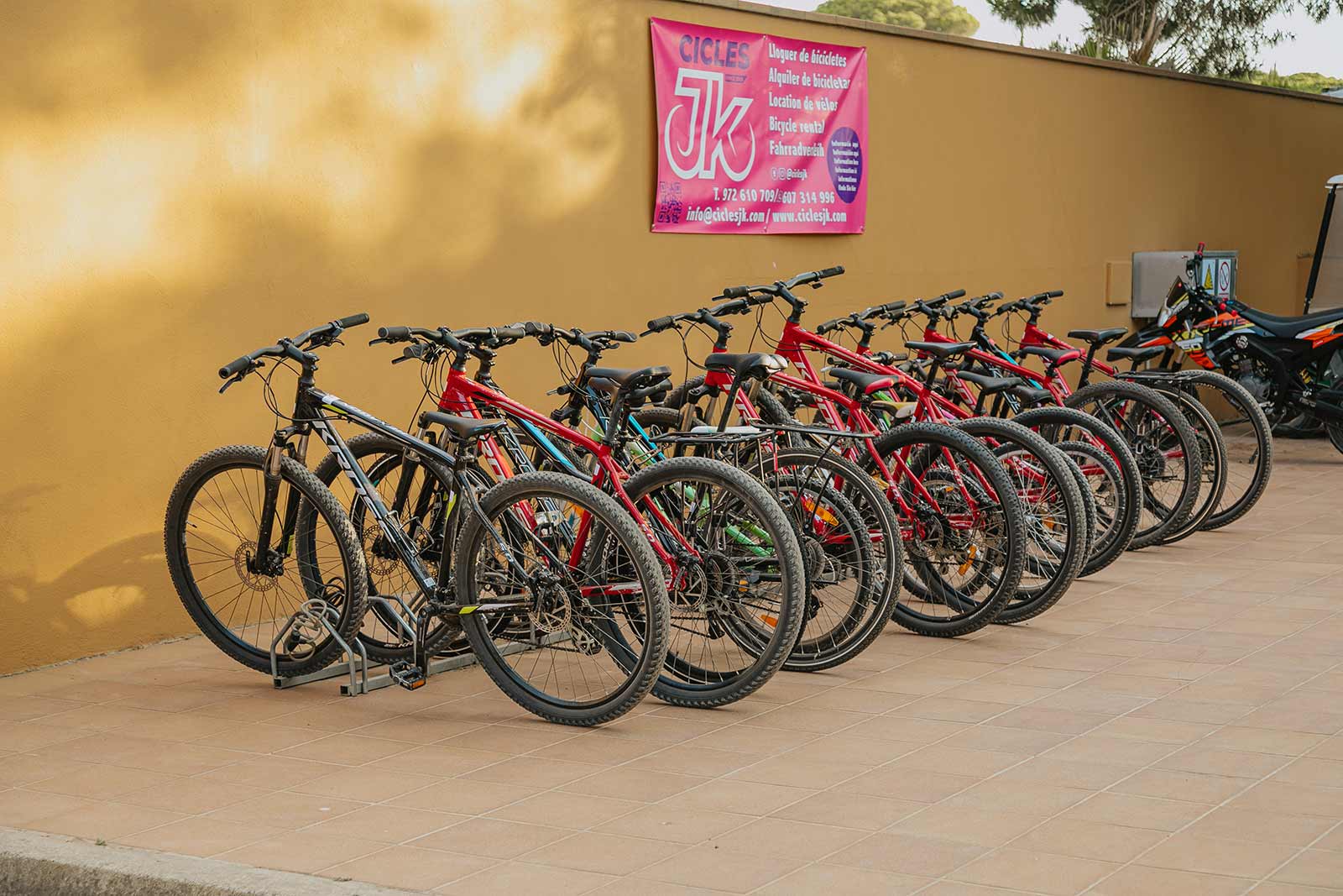 Alquiler de bicicletas