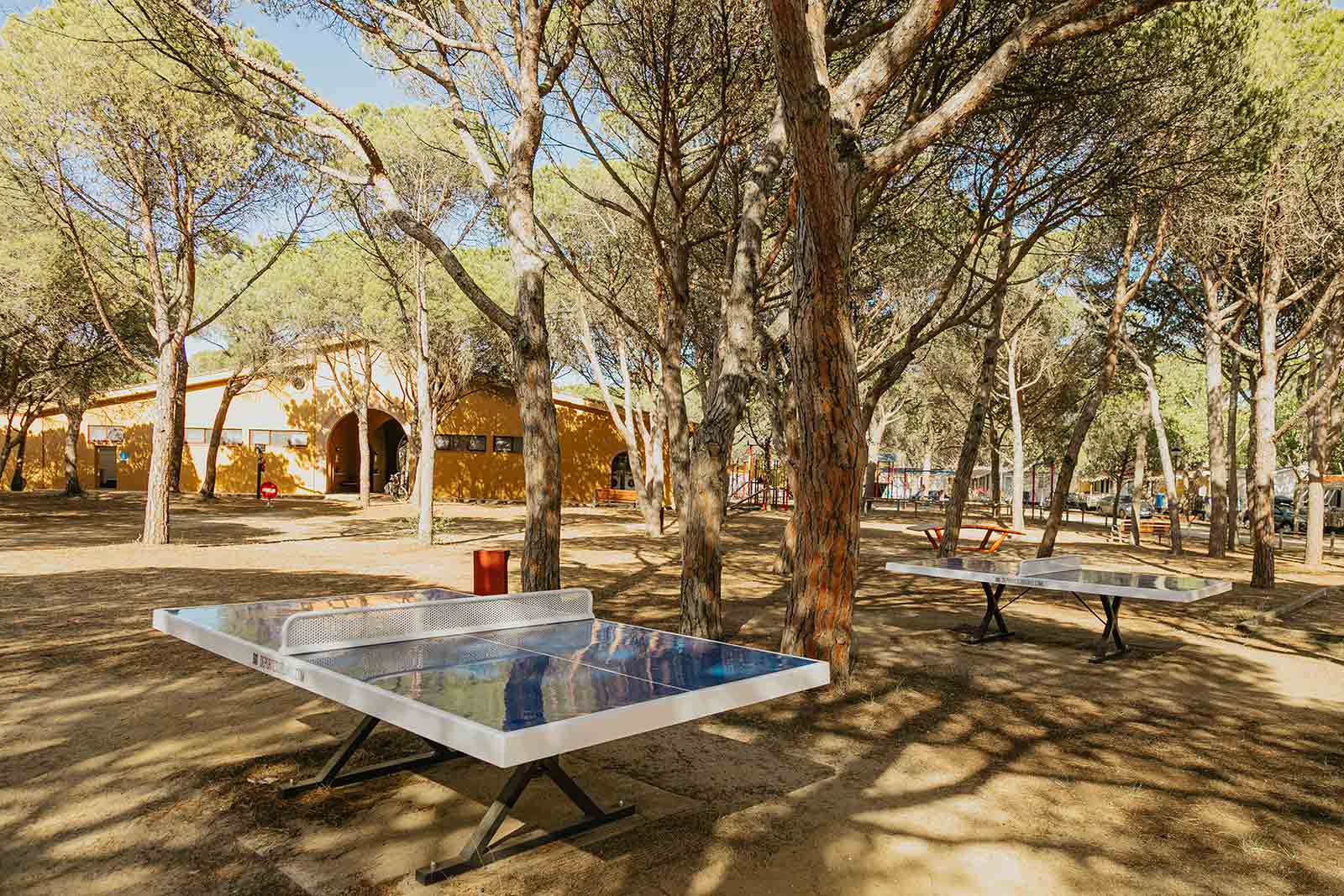 Ping-pong